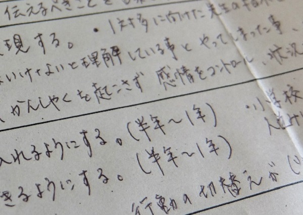 療育への道 セルフプランの記入例 自己流でも2週間で通所受給者証が発行された 事例とコツ ゆきまる生活