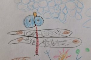 発達凸凹美術館 Asd5歳児の絵の描き方を分析 1年経って何が変わったか ゆきまる生活