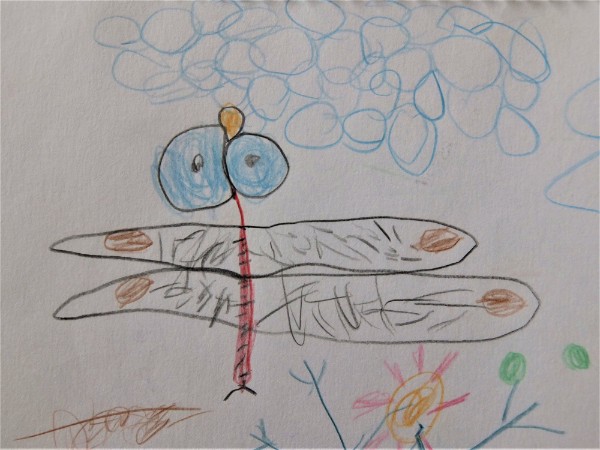 発達凸凹美術館 4歳児の絵と発達障害 自閉症スペクトラム の特徴 独特な認知力 ゆきまる生活