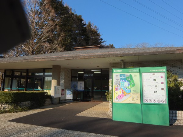 つくば植物園 筑波実験植物園 早春のみごろ まもなく桜 ソメイヨシノ が満開です ゆきまる生活