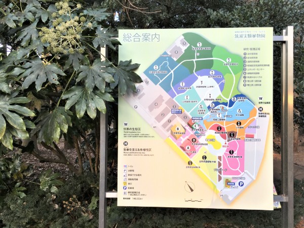 つくば植物園 筑波実験植物園 を楽しむ 食育もできて充実 温室 室内編 ゆきまる生活