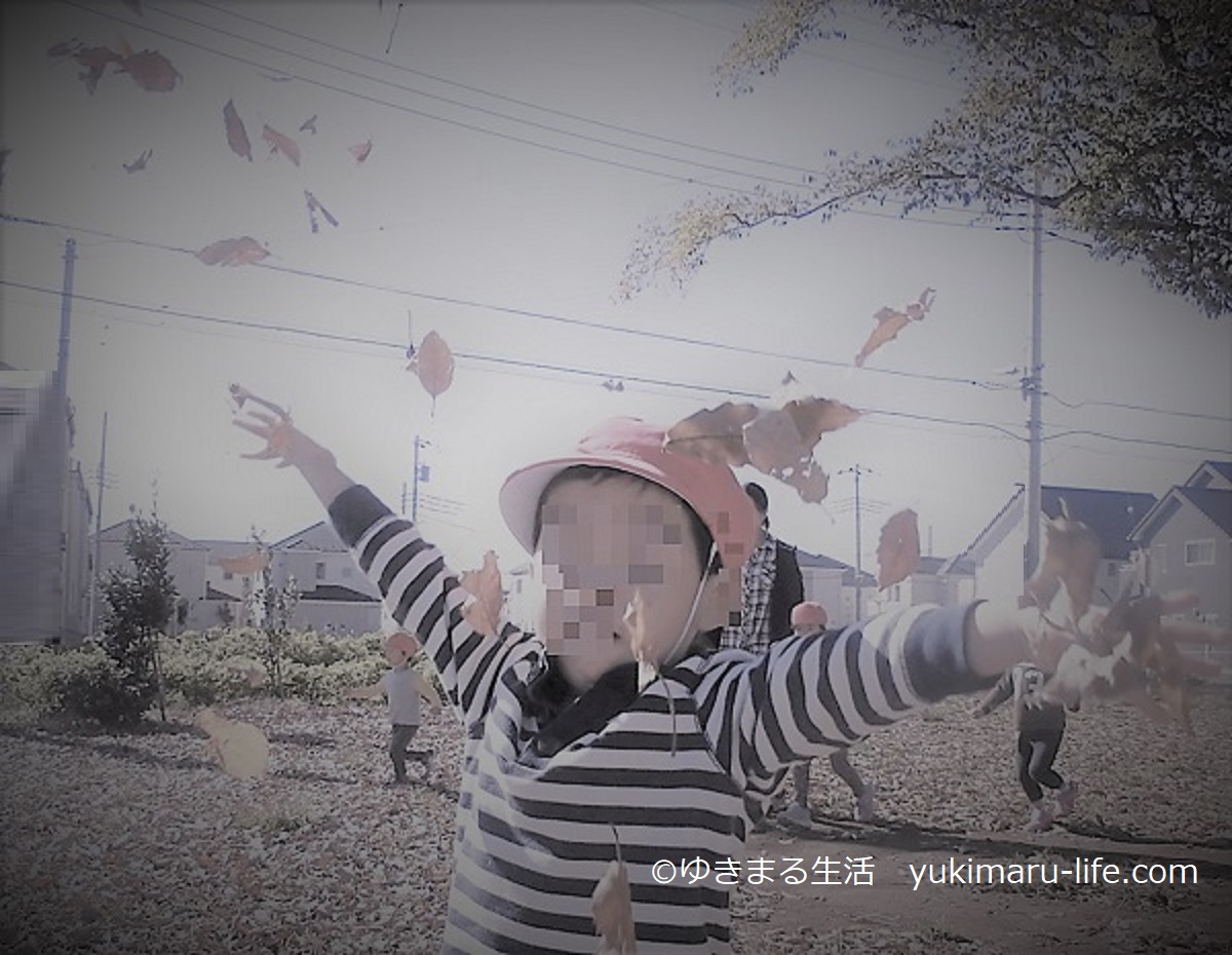 舞う落ち葉の中の男の子